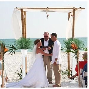 Artificial Tropical Palm Plants